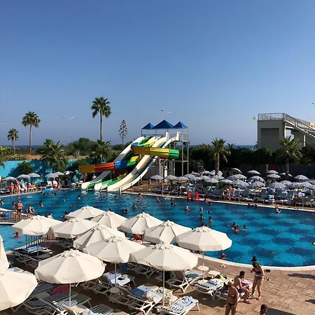 Albahir Deluxe Turkler